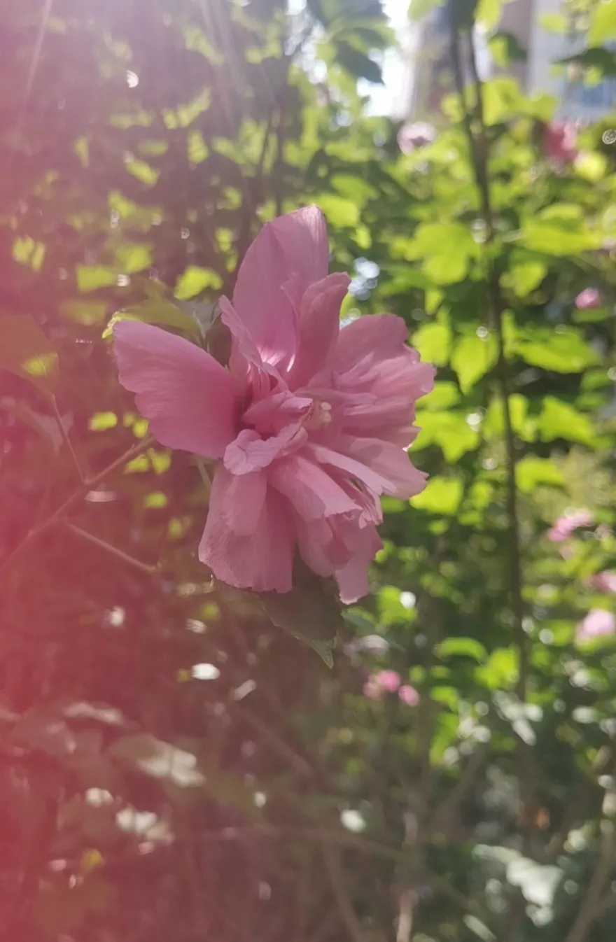 新学期开学,一农村小学一班级只有两名学生,乡村教育会消失吗?