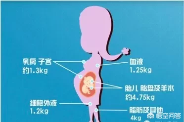 孕期十个月内体重怎么增长才算是正常?