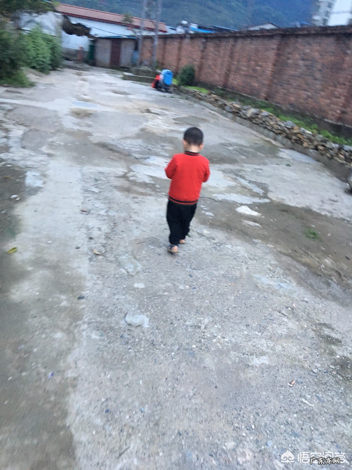 宝妈们怀孕了,可有做很特别的梦?