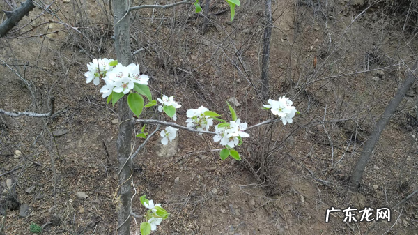 人才是最大的风水 人才是风水