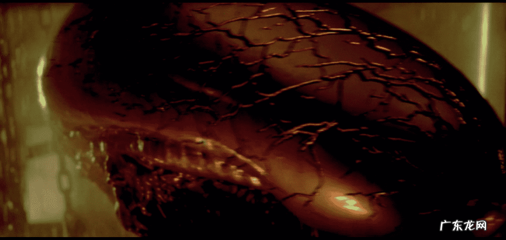 异星战场3 异形3剧照