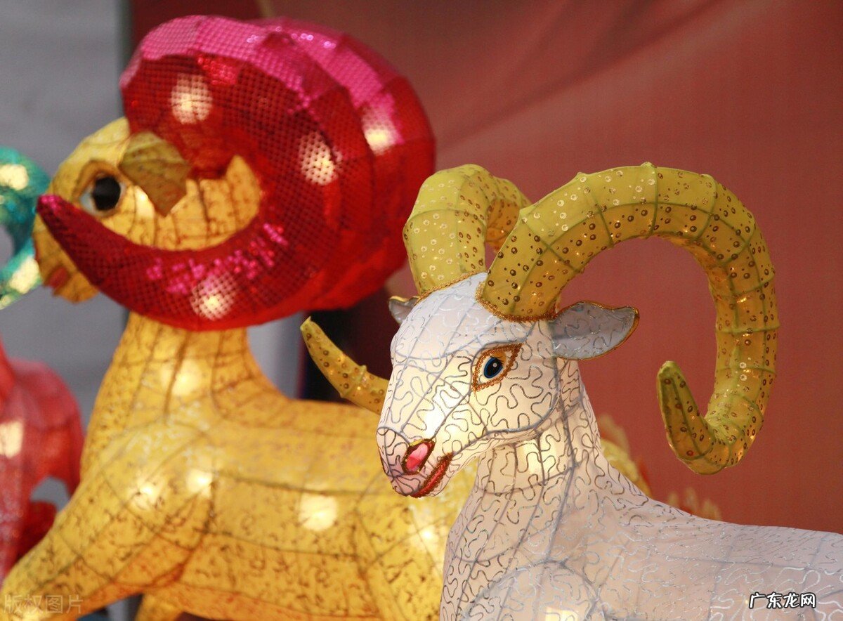 最有情有义的是哪个生肖?最绝情的是哪个生肖?