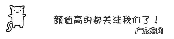 我的星座是天秤座,适合养什么狗狗?