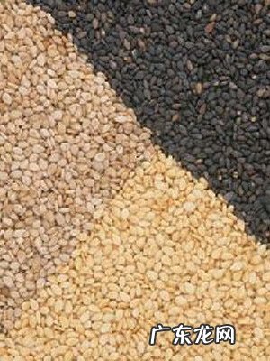 芝麻的作用和功效和禁忌 芝麻的功效与作用点