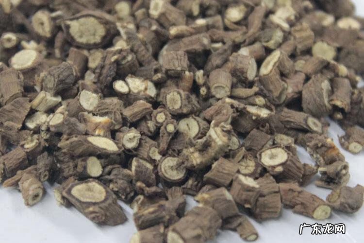 北柴胡的作用与功能主治 北柴胡功效与作用效