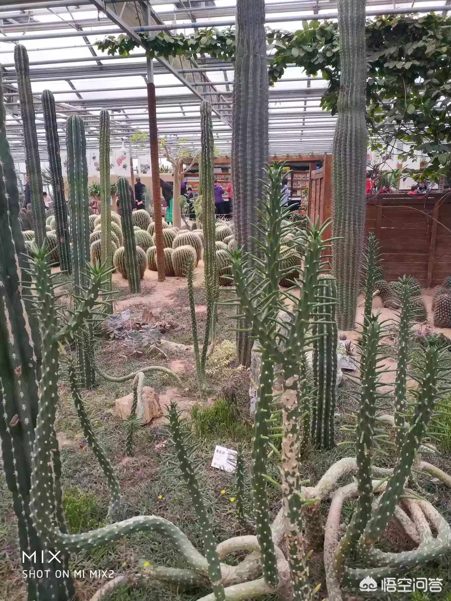 怎样看“人生希望是生命的力量，能使梦想变成现实，播种希望，浇灌信心，收获成功”？