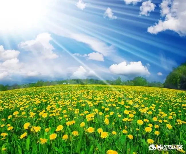 怎样有一个良好的生活习惯和作息规律?