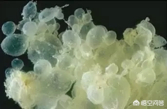 怀孕流血了是怎么回事?