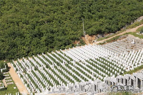 炎黄盈动 炎黄陵园风水
