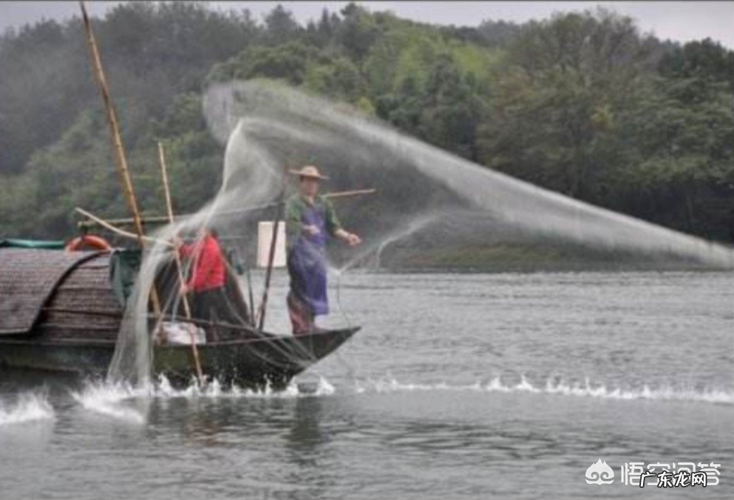 如何写好一首关于“冬雨”的诗?