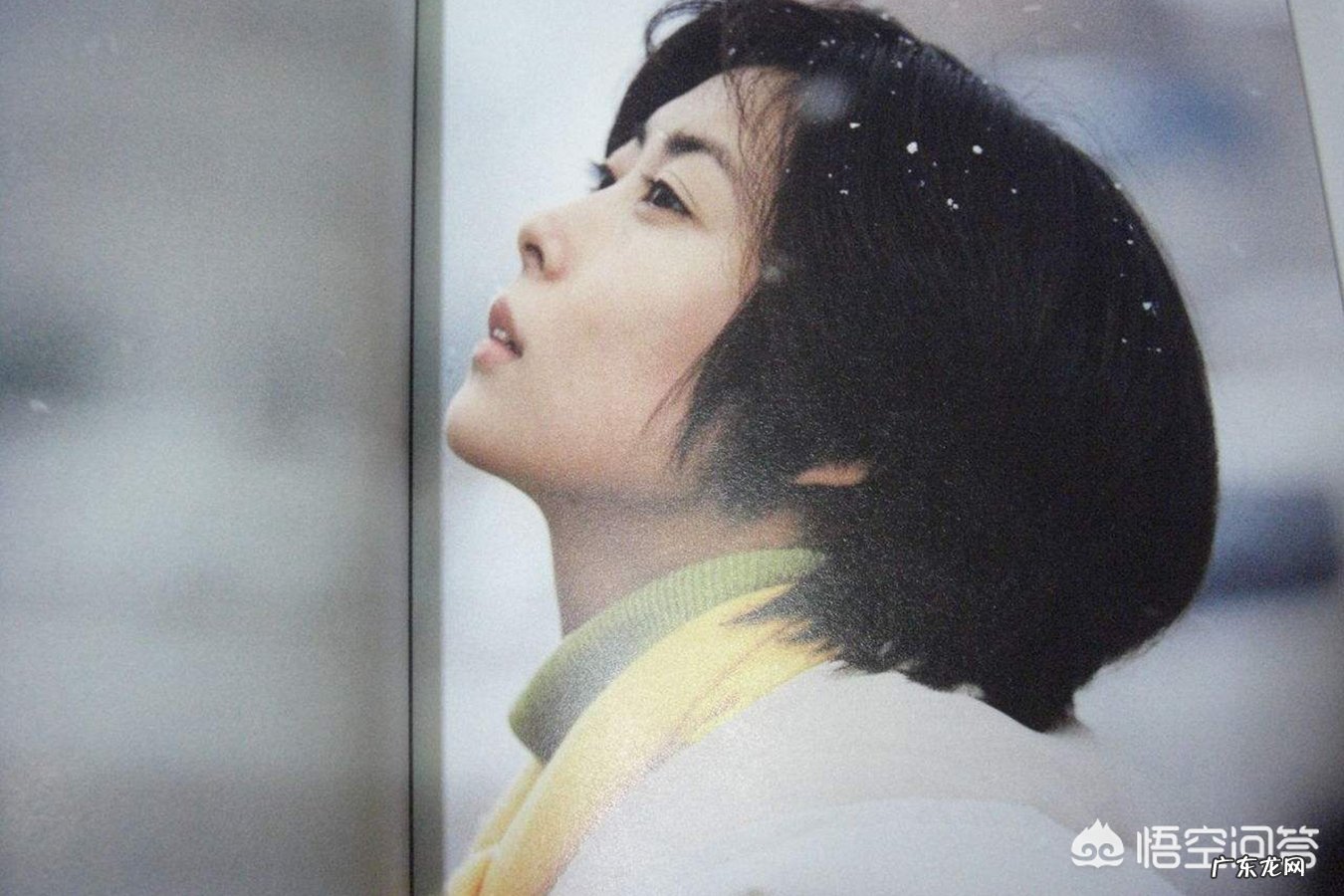 岩井俊二的经典电影《情书》要被中国翻拍了吗?