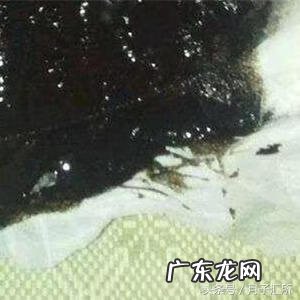 宝宝大便有点黑色 宝宝大便黑色颗粒