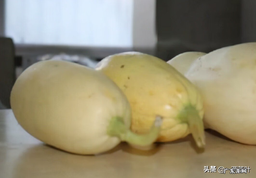 笋瓜的做法大全 笋瓜图片