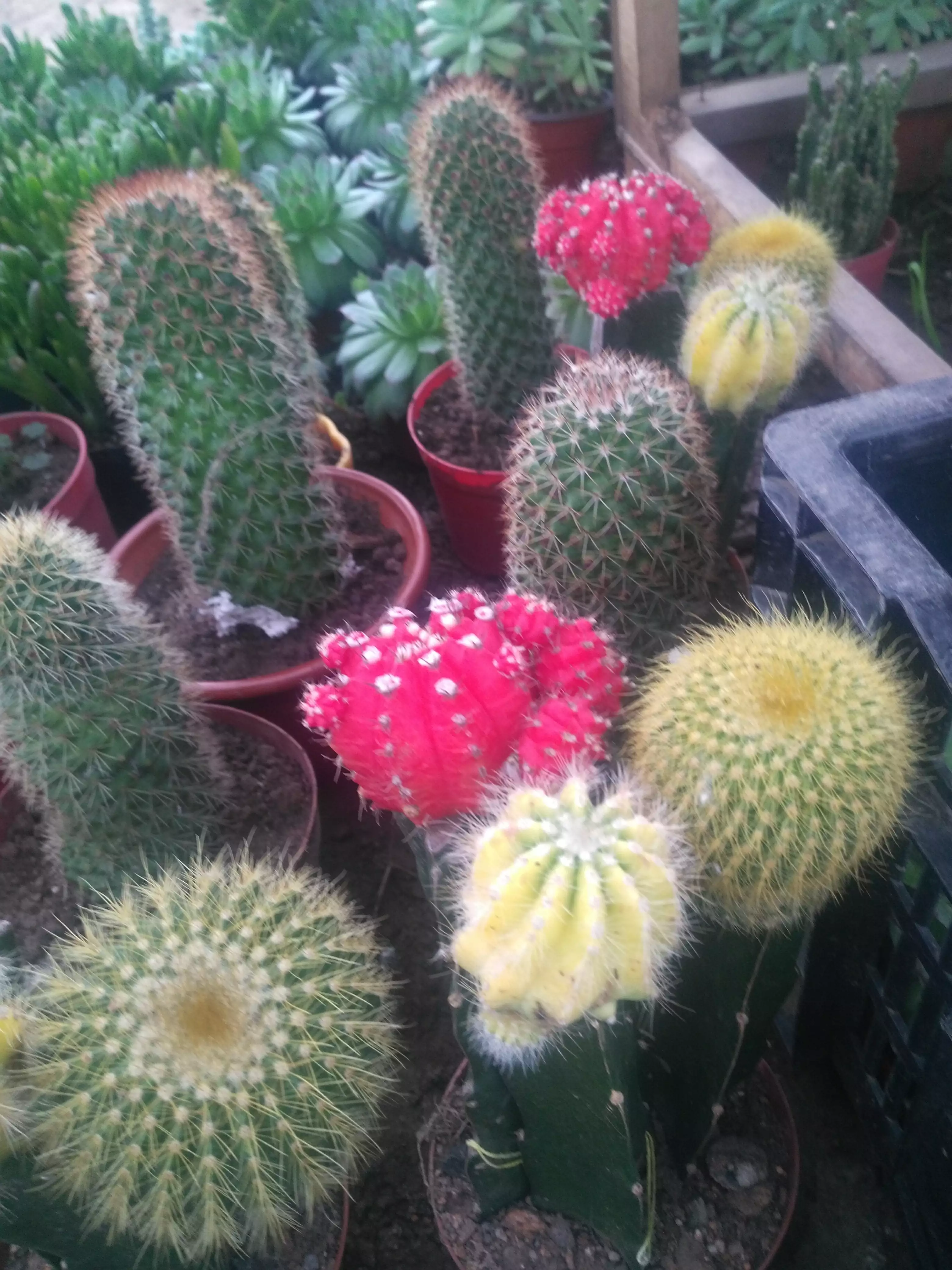 懂得很多人生道理后就能活得更轻松吗，说说你的看法？