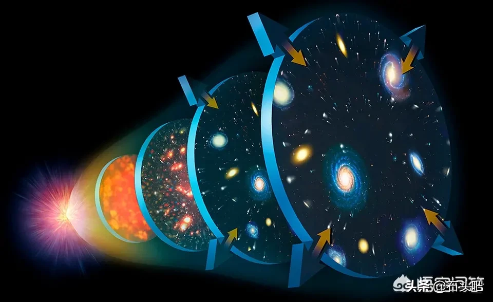 如果你可以飞，你会干什么？