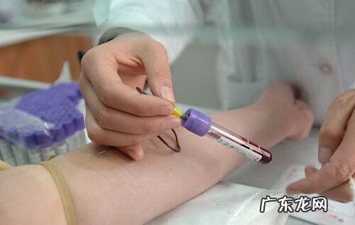 鸽子蛋营养丰富 鸽子蛋的营养价值及功效