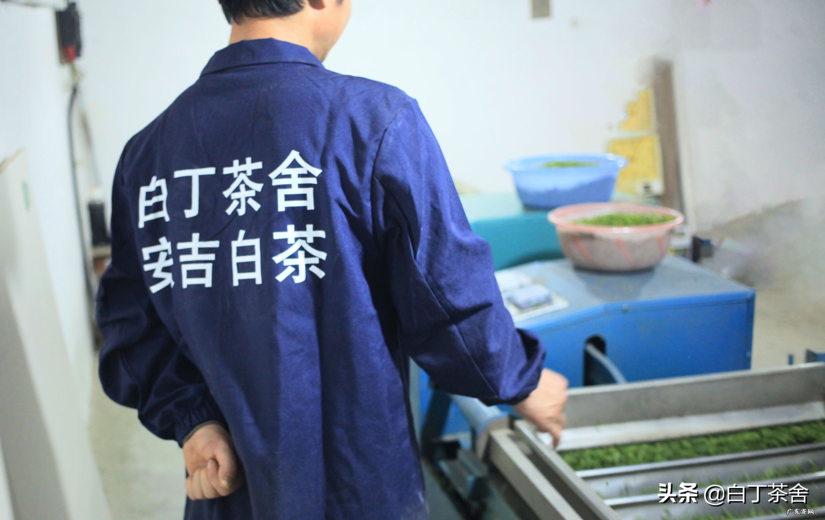 斯里兰卡红茶比中国红茶好吗?