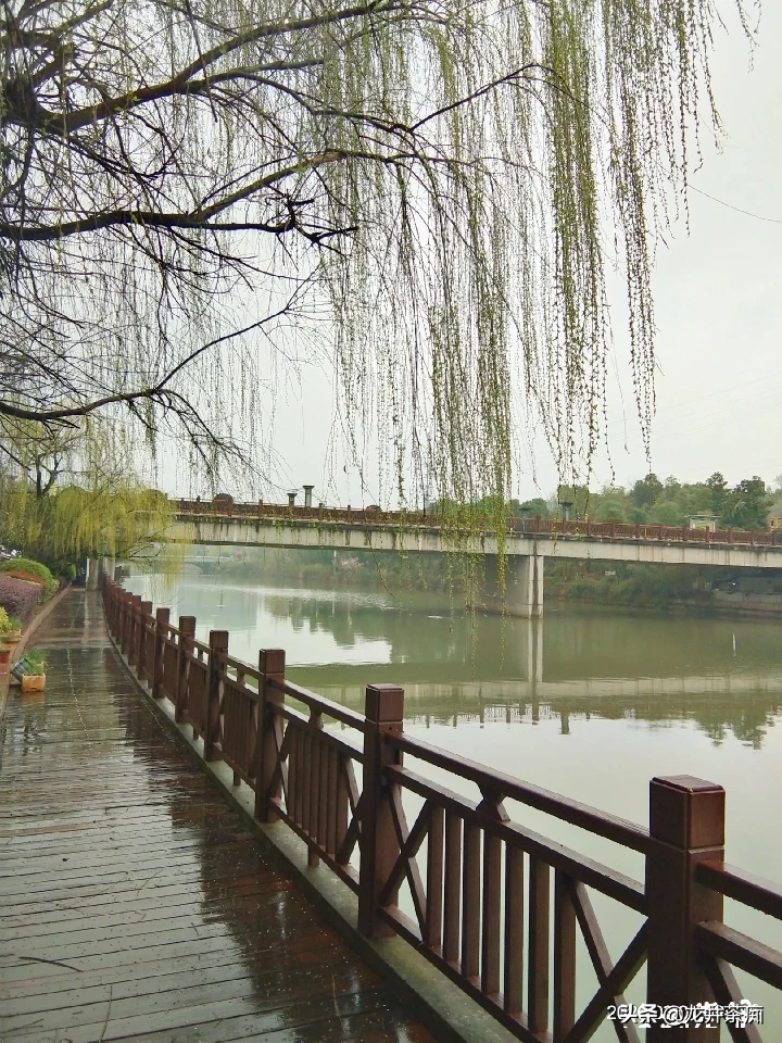 斯里兰卡红茶比中国红茶好吗?