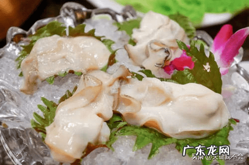 牡蛎是什么动物 牡蛎是什么东西
