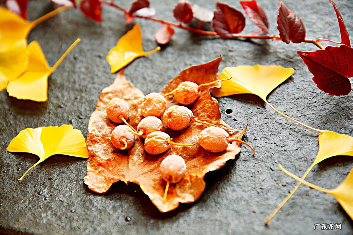 红色杜鹃花有毒吗