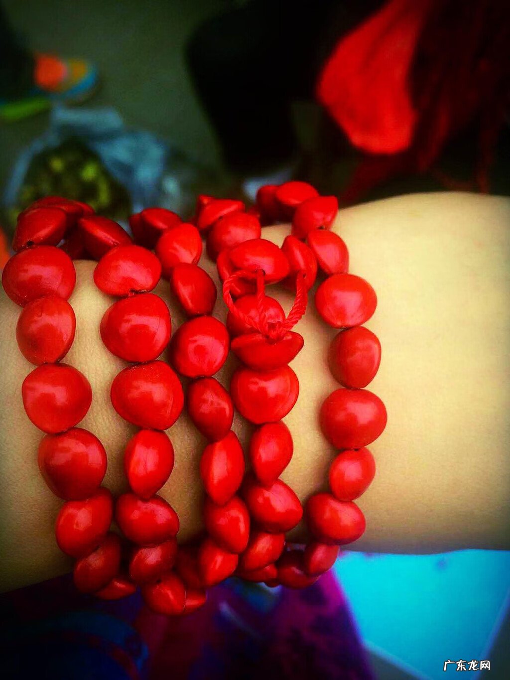 红色杜鹃花有毒吗