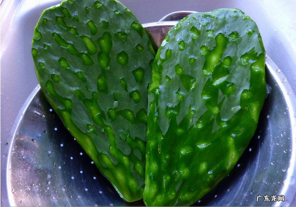 红色杜鹃花有毒吗