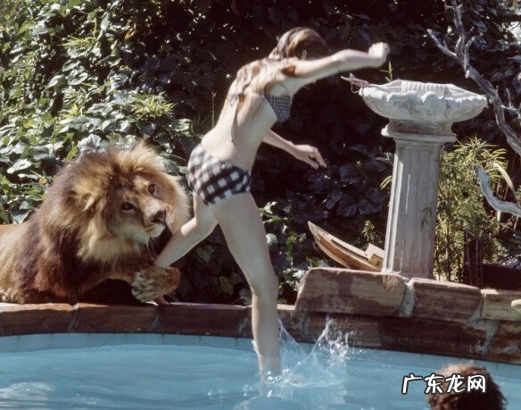 邮差骑士修改器 好莱坞修改器全集下载