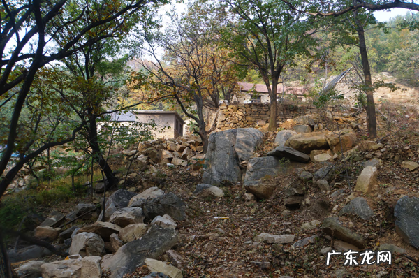 房屋东北角有坟化解方法 北窗见坟风水