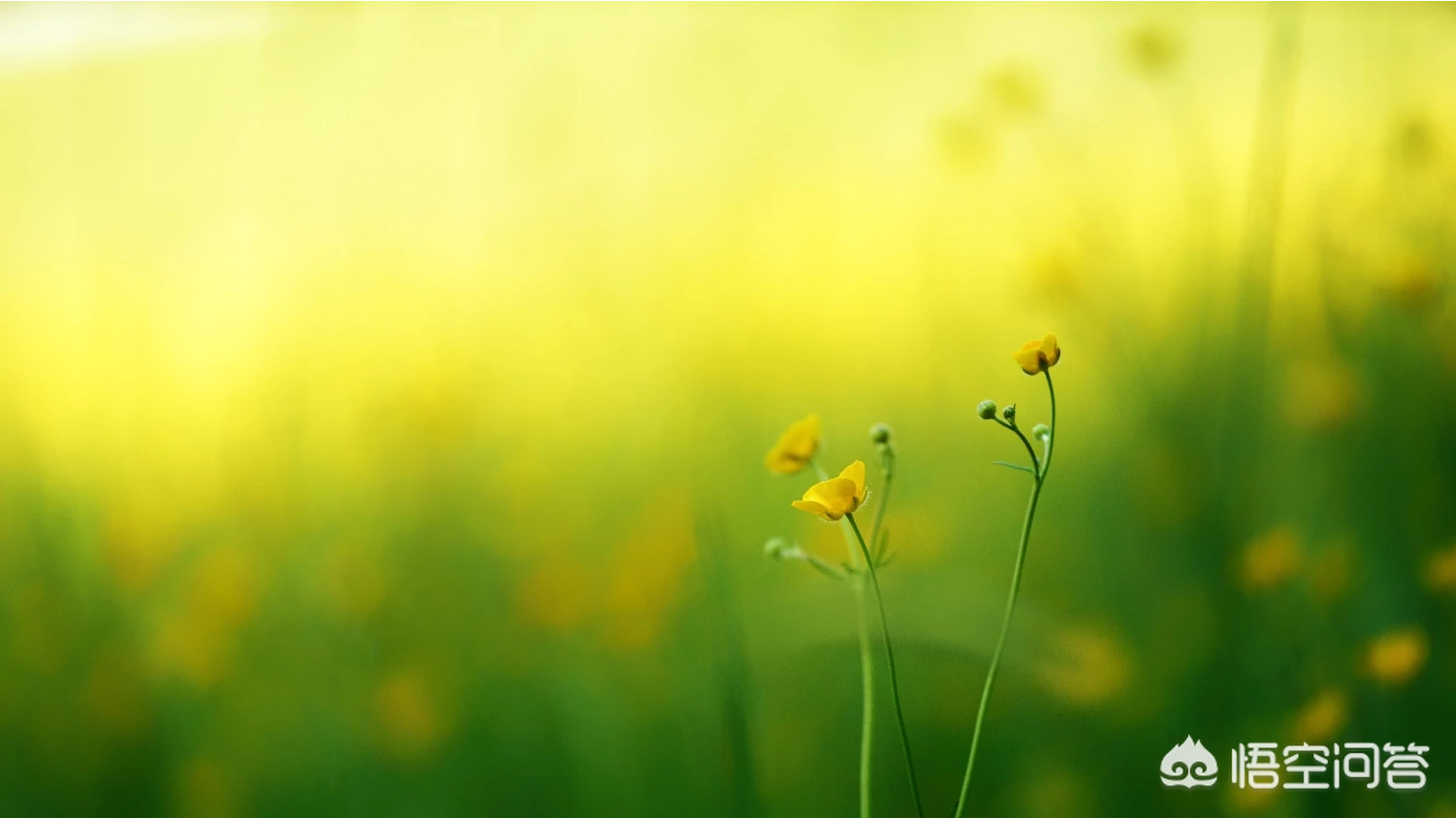 摄影构图时,如何搭配好画面中的色彩?