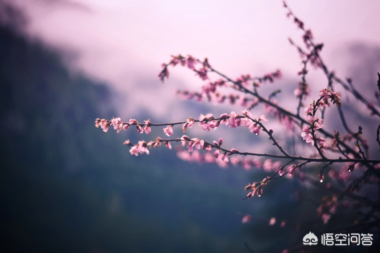 摄影构图时,如何搭配好画面中的色彩?