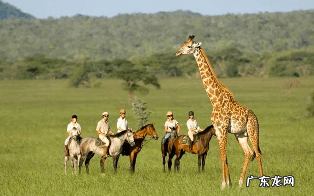 马里共和国 masai