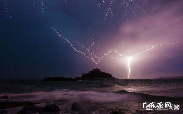在野外干活,突然下大雨没带雨具,可以在树下避雨吗?
