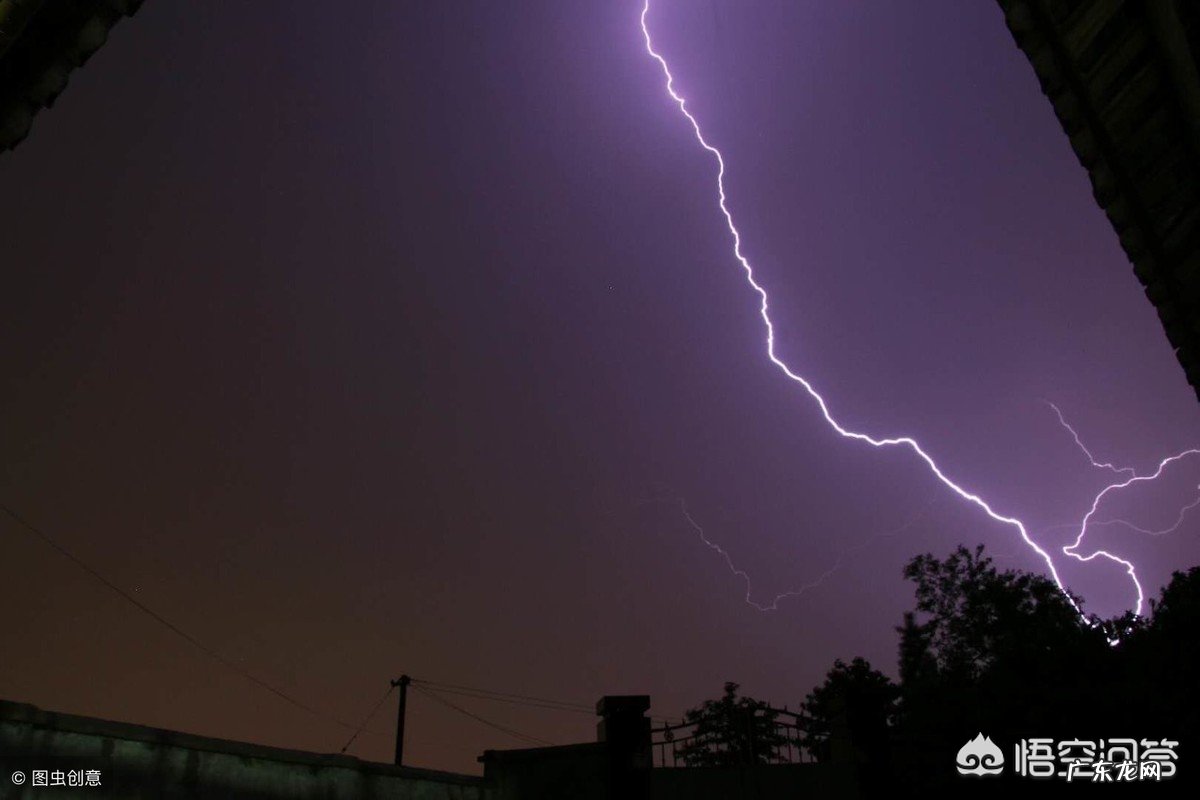 在野外干活,突然下大雨没带雨具,可以在树下避雨吗?