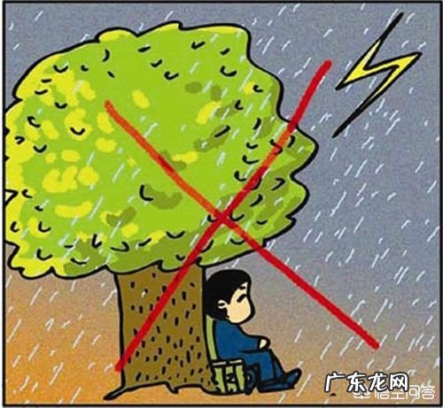 在野外干活,突然下大雨没带雨具,可以在树下避雨吗?