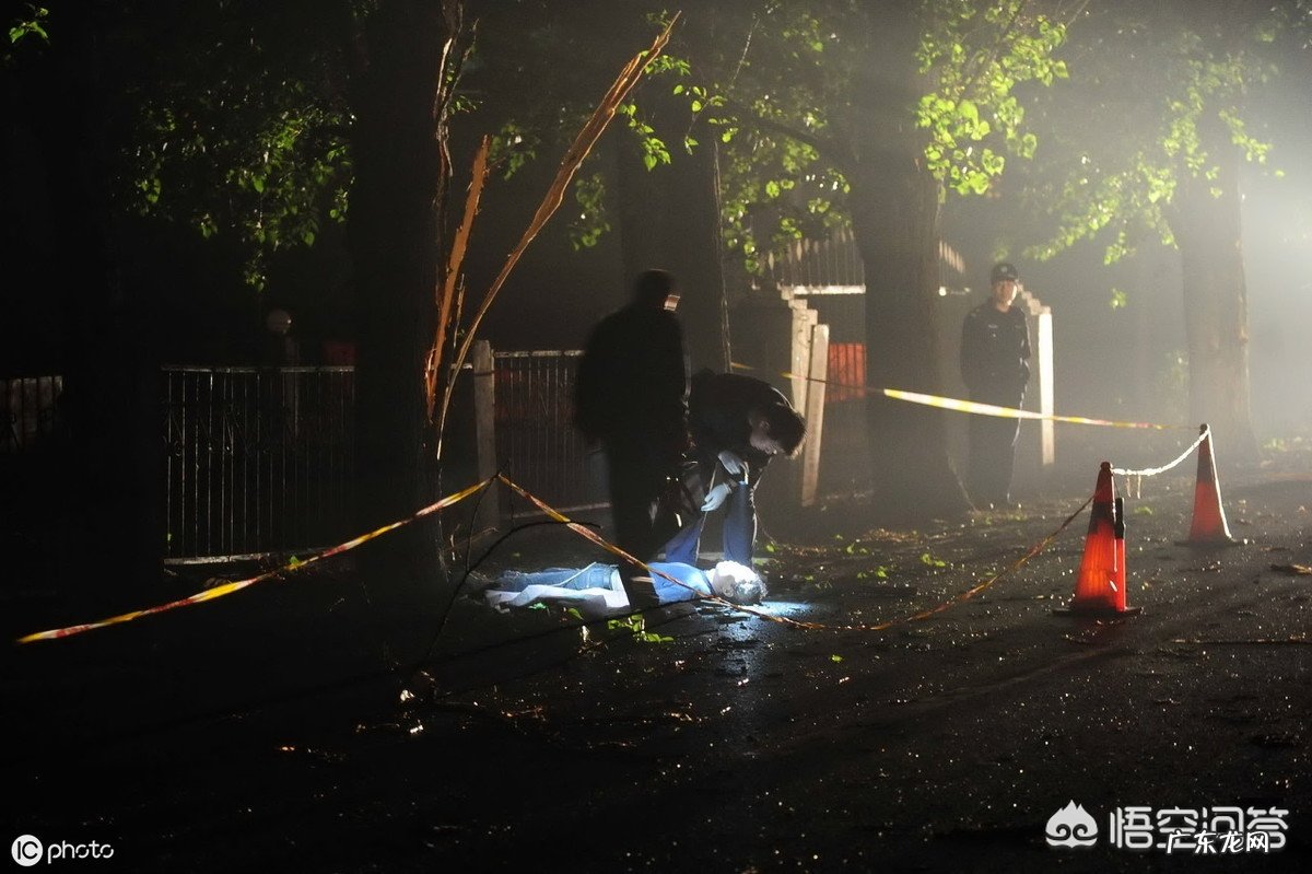 在野外干活,突然下大雨没带雨具,可以在树下避雨吗?