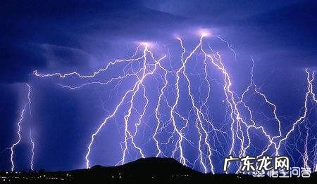 在野外干活,突然下大雨没带雨具,可以在树下避雨吗?