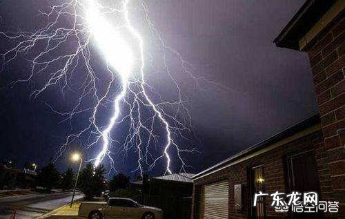 在野外干活,突然下大雨没带雨具,可以在树下避雨吗?