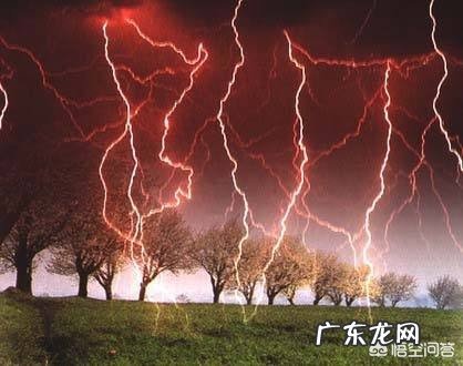 在野外干活,突然下大雨没带雨具,可以在树下避雨吗?