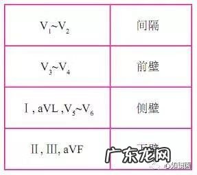 心电图导联的位置图片 心电图导联位置