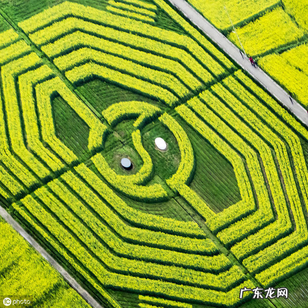 屋里有井风水好不好 井打在哪个位置风水好