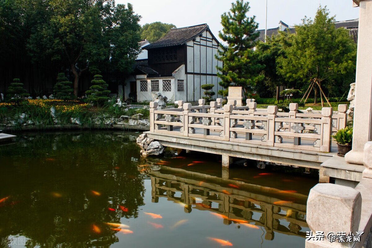 白秋练真实吗 白秋练故事梗概