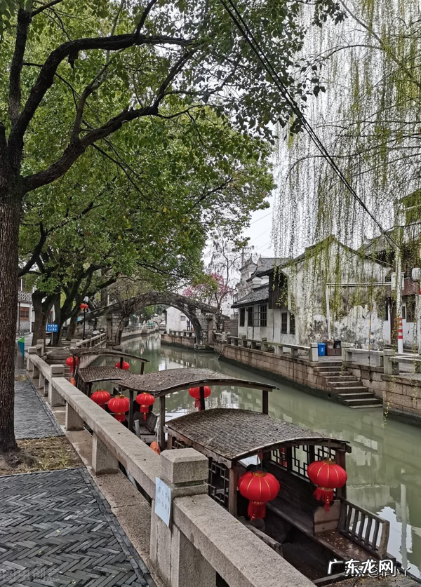 白秋练真实吗 白秋练故事梗概