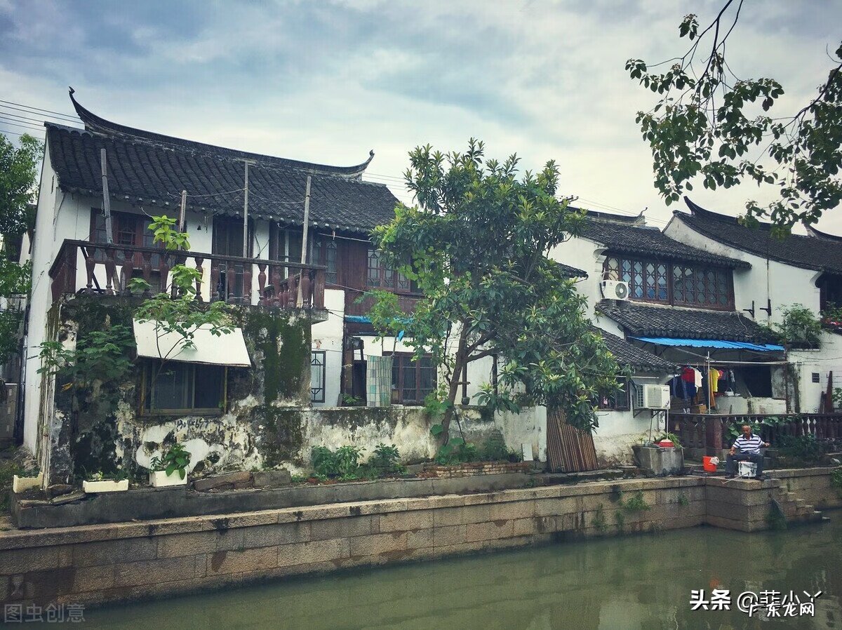 白秋练真实吗 白秋练故事梗概