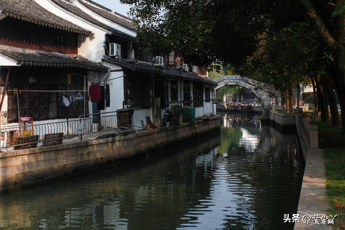 白秋练真实吗 白秋练故事梗概