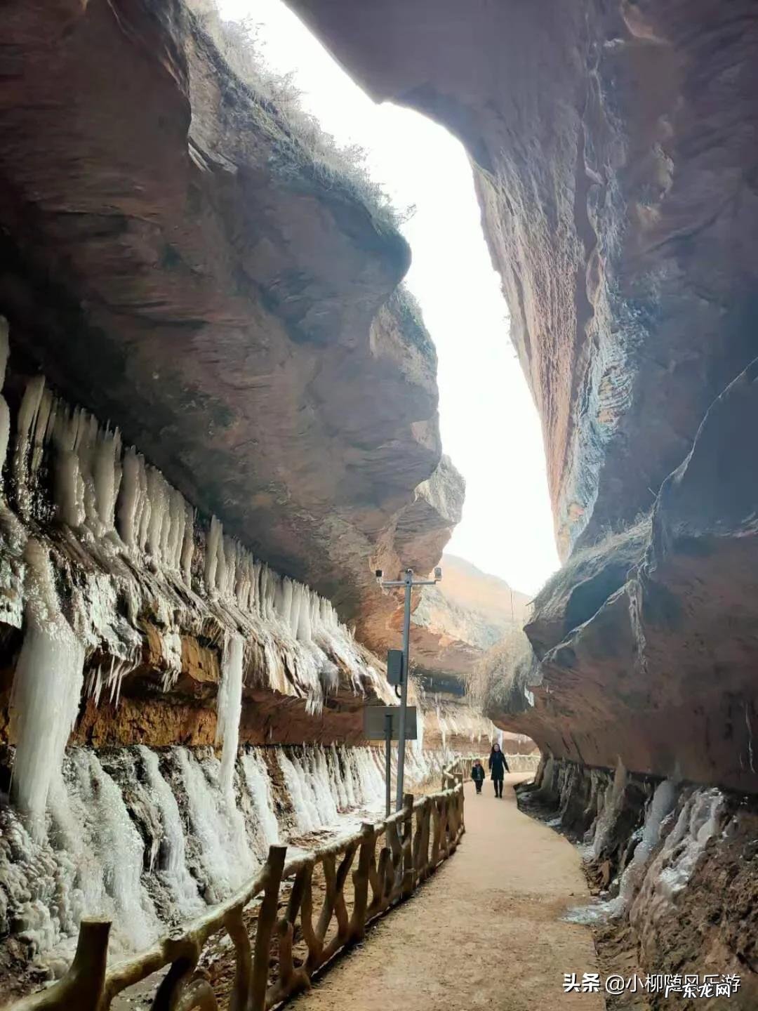 春节去哪里旅游?