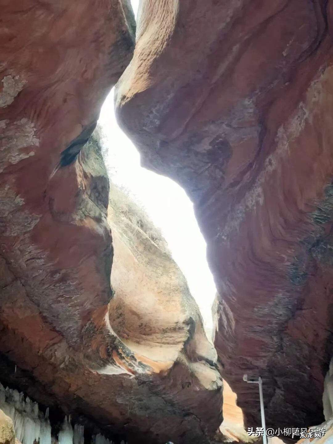 春节去哪里旅游?