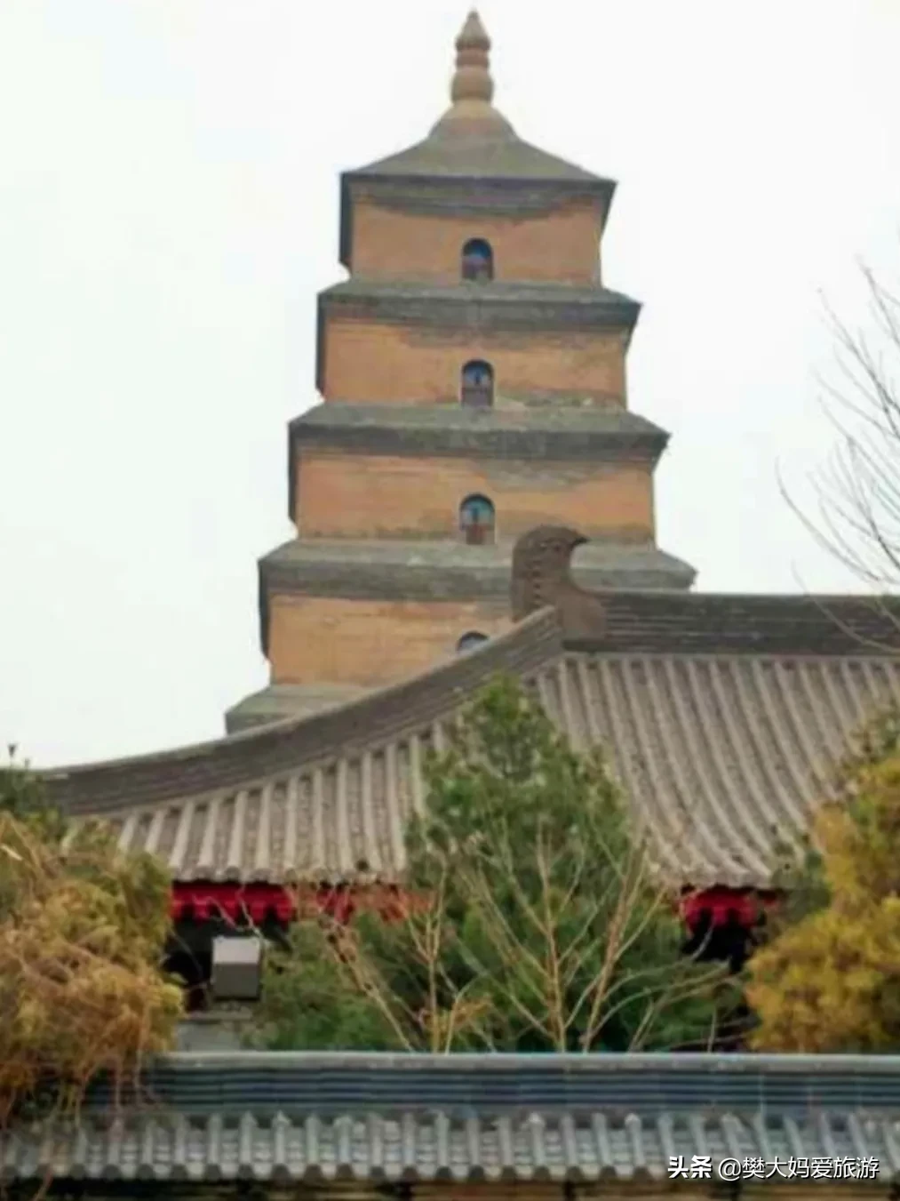 春节去哪里旅游？