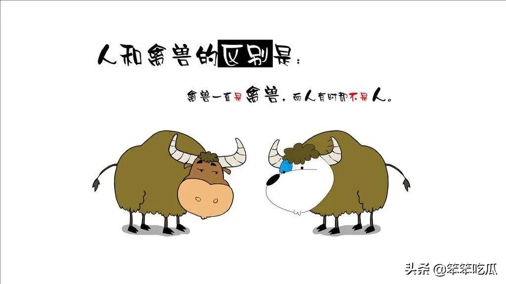 怎么样才能写好搞笑的图文?