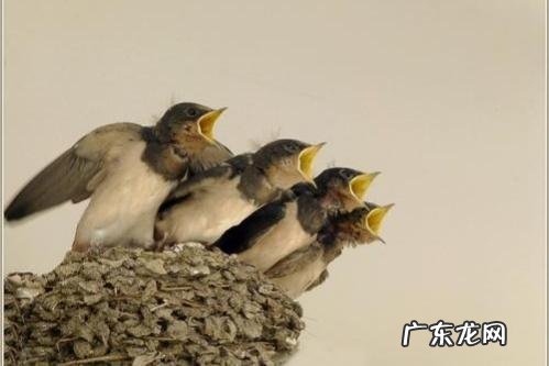 一个人的顶级智慧:情绪稳定