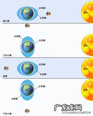 日食后会发生什么现象?